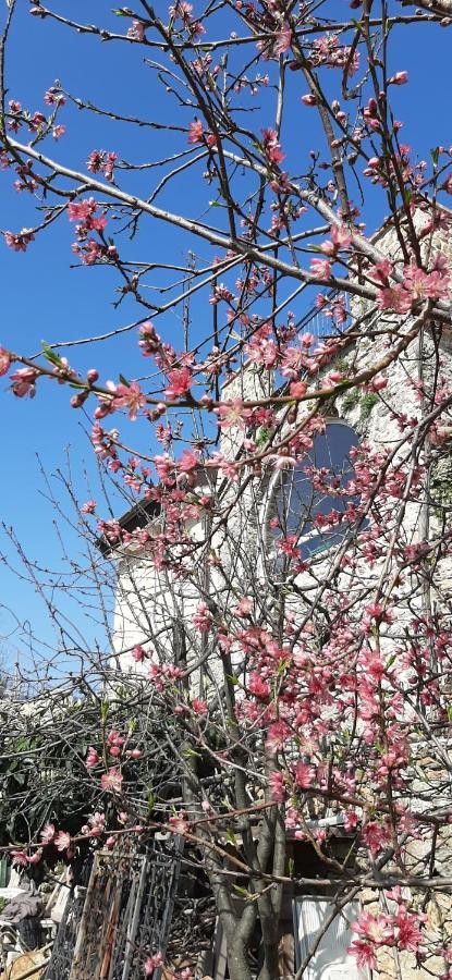 Bed & Breakfast L' Antica Macina *