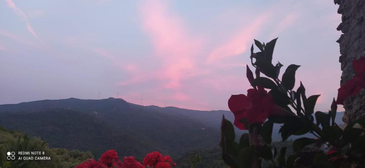 L' Antica Macina Bed & Breakfast