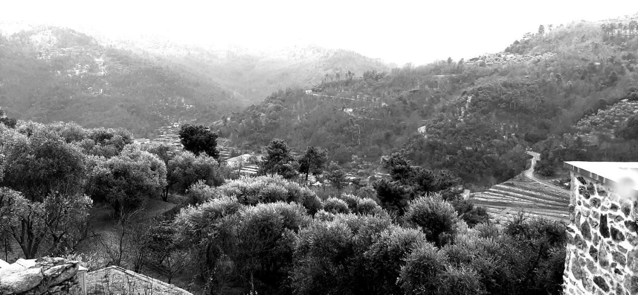 L' Antica Macina