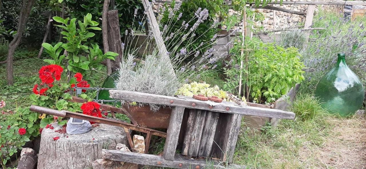 L' Antica Macina Bed & Breakfast *