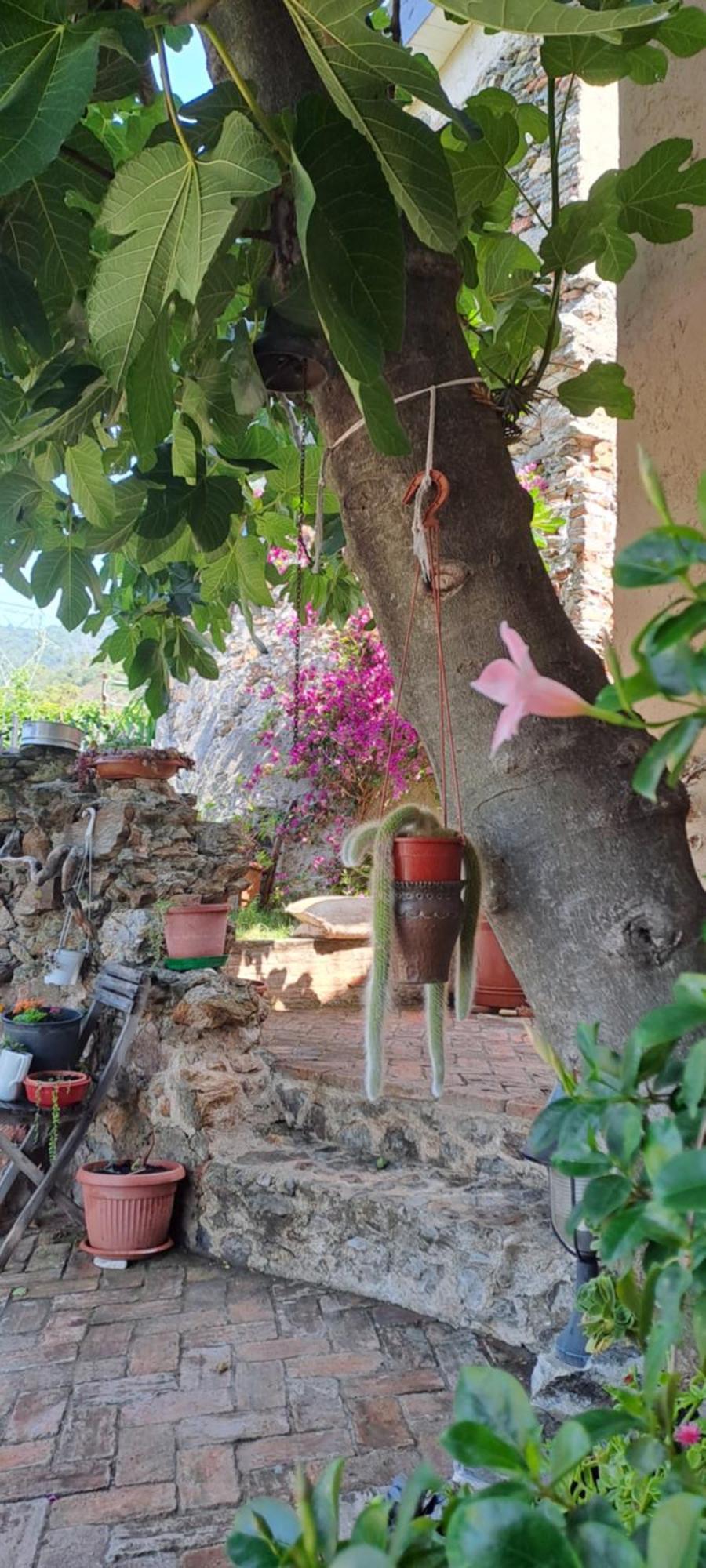 L' Antica Macina