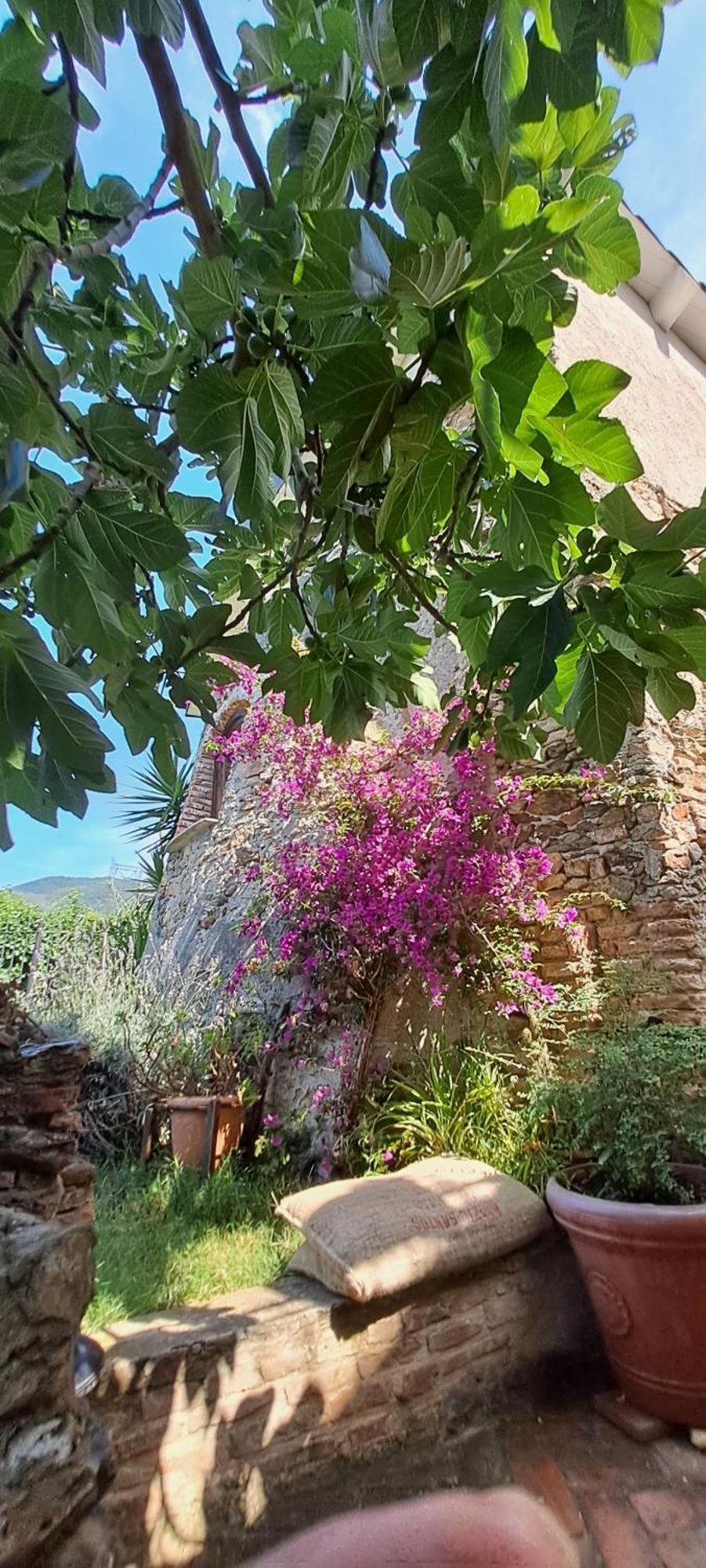 Bed & Breakfast L' Antica Macina *